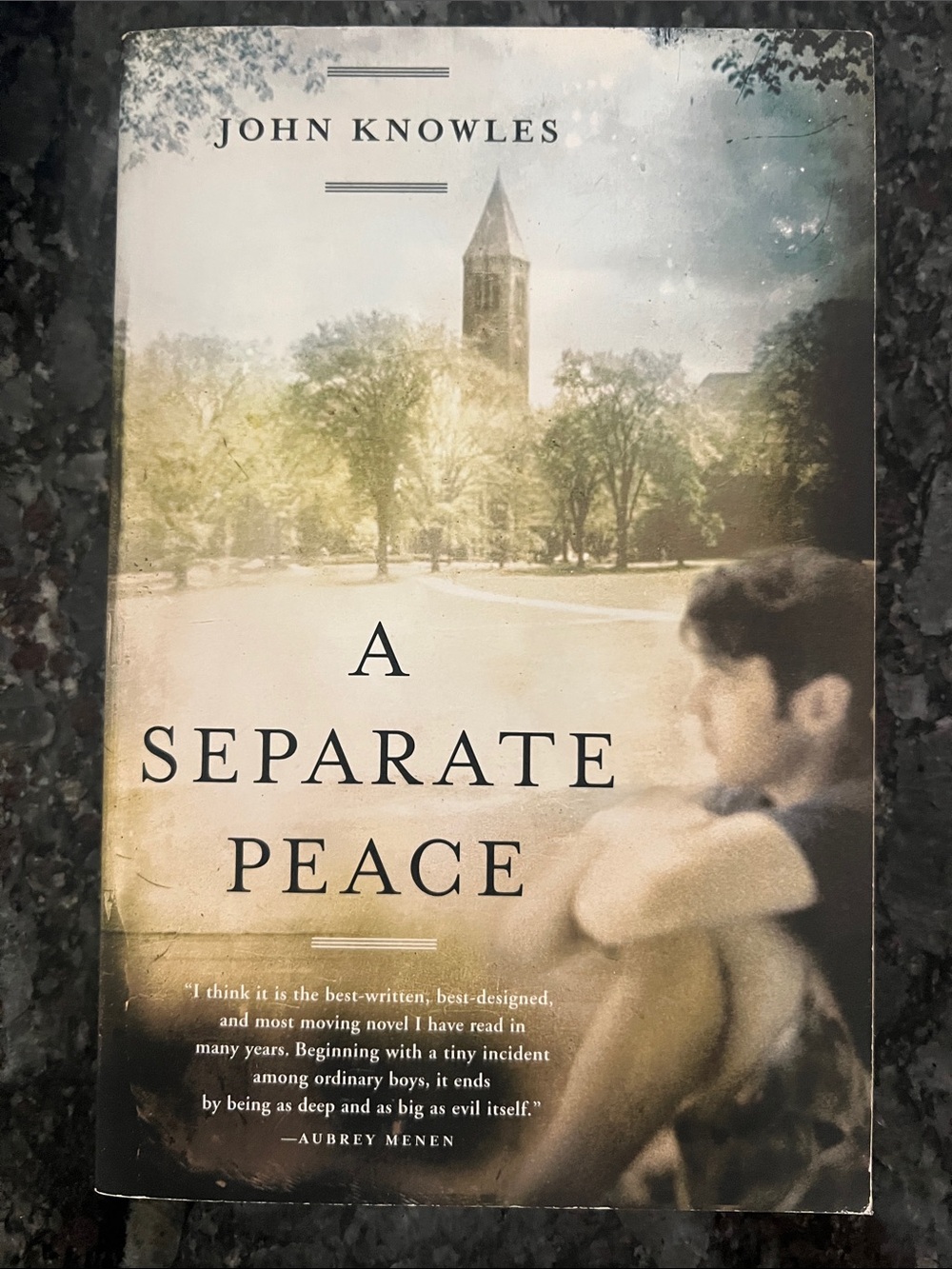 A Separate Peace Wall Art Print in Cream and Tan by